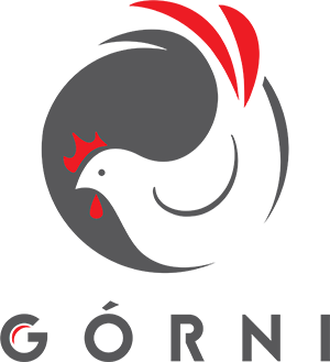 Górni